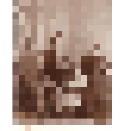 Фотография. Семья Кузнецовых, в центре стоит 2-х летняя Валентина Коновалова (в замужестве Копенкина)