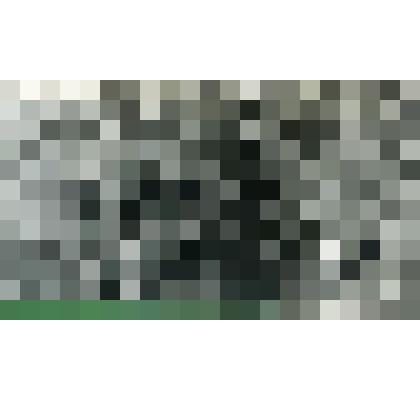 Фотография. Сбор урожая огурцов в теплицах. Лист 2