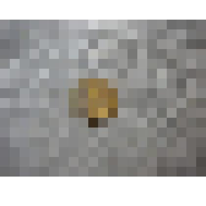 Монета 1 копейка