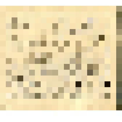 "Митинг". Рисунок