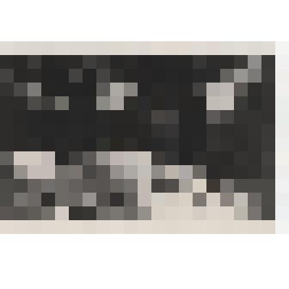 Фотография. Учащиеся училища механизации на практических занятиях урока земледелия