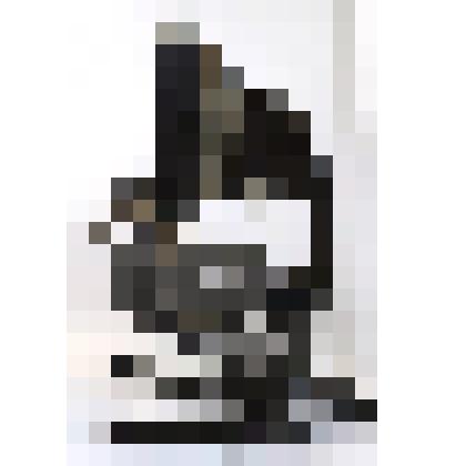 Микроскоп "Reichert Wien"