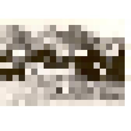 Фотография: выступления физкультурников на празднике окончания посевной в роще колхоза им.Чапаева Каменского района Алтайского края