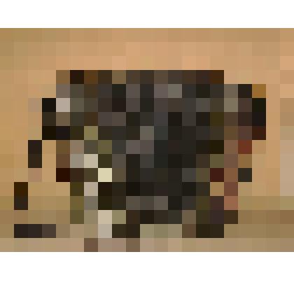 Гармонь с инкрустацией