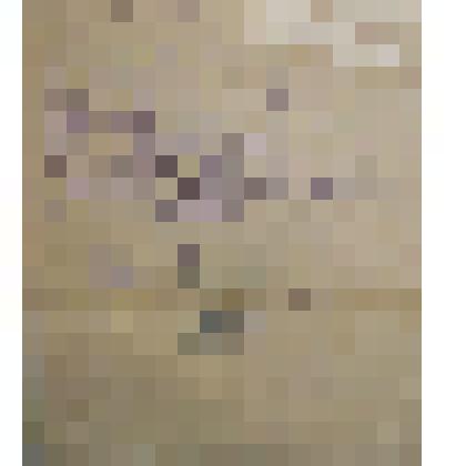 Документ (копия)