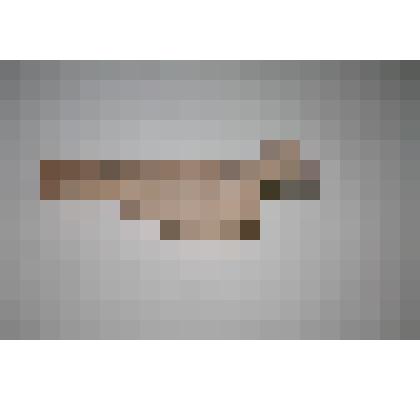 Солонка – утица