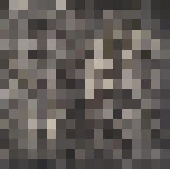 Басилашвили В.А. " Надежда" картина