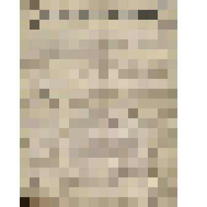 Газета. Русское знамя. № 234 (2 л.;)