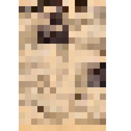 Статья "На трудовой вахте" в газете  "Красное знамя"