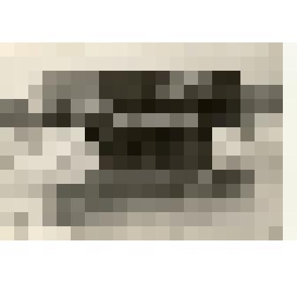 Фотография: насосная станция Кулундинского канала