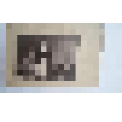 Фотография. Семейный портрет