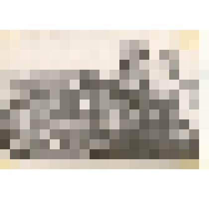 Фотография: лучший кукурузовод совхоза "Октябрь" Каменского района Алтайского края