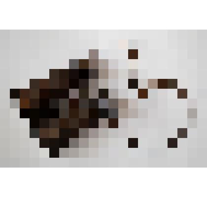 Бинокль "Depose Chevalier Opticien"