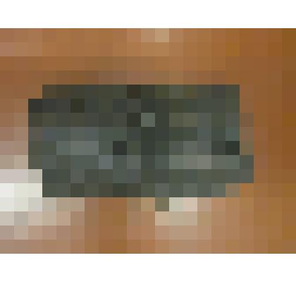 окаменевшее дерево, фрагмент