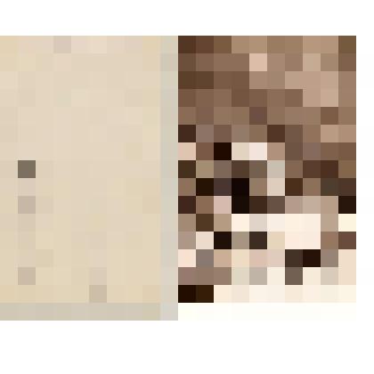 Почтовая карточка Napoleon Paix de Tilsitt 8 juillet 1807 «Наполеон. Тильзитский мир 8 июля 1807»