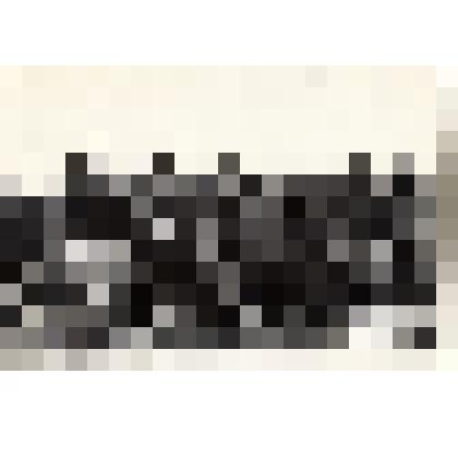 Ф/чб. Сборы заместителей начальников по боевой подготовке, дивизион 75 - диверсионная группа роты морской пехоты. Группа военных и курсантов в камуфляже (стоит 13 слева - Солдатов В.Т.). Севастополь. 14.05.1975