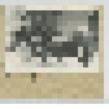 Фотокопия ч/б. Немецкий танк, разбитый севернее д. Крюково