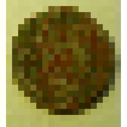 20 копеек 1931 г