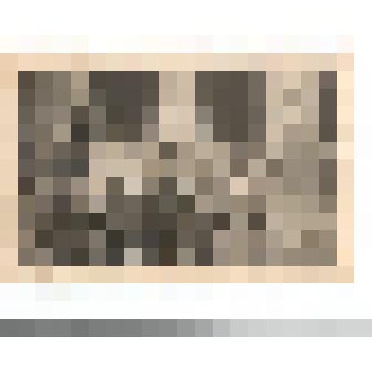 Фото/чб. Члены командования 148-й стрелковой Черниговской дивизии у рейхстага (справа нач-к штаба полковник Васин Н.Г., в центре стоит зам.ком по тылу п-к Фомин В.С. и другие). Берлин, Германия. 1945