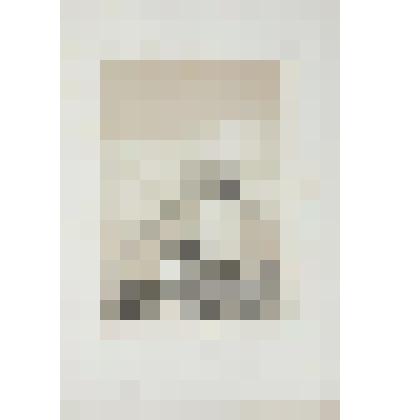 Литография. "Новгород. Абсида собора Святой Софии."