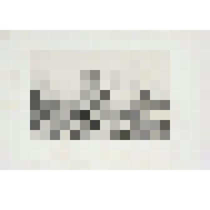 Литография. "Тверь. Часовня и деревня близ Твери."