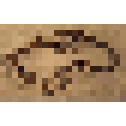 Путы для лошади