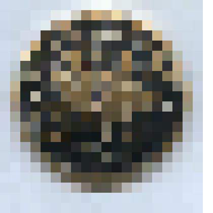 Значок "Оленевод". Из коллекции значков Самсоновой К.П