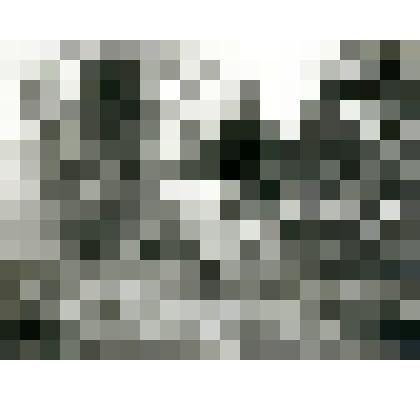 Фотография. Кладбище в с. Арке