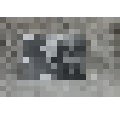 Фотография ч/б. Портрет С.Д. Золотова 