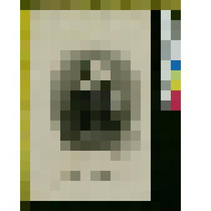 Портрет  Николая Алексеевича Некрасова