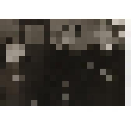 Фотография. Участники Великой Отечественной войны, работники пристани "Тотьма"