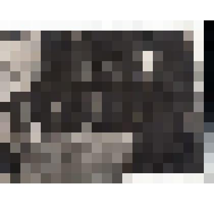 Ф/чб. Встреча пионеров ср. школы № 24 г. Энгельс с румынскими студентами из СГУ. Выступает завуч В.С. Плеханова, вожатая Крашенинникова. Зима 1951 г