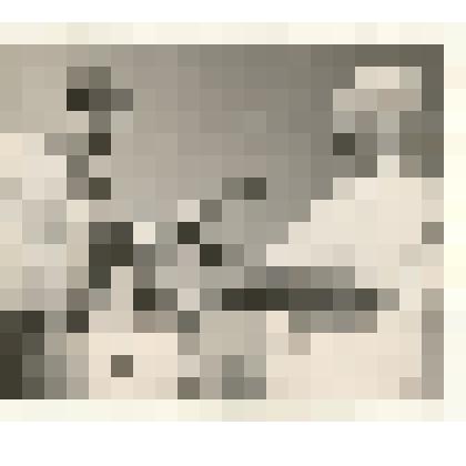 Фотография: заготовителей кормов колхоза "Родина" Каменского района Алтайского края обслуживает повар Сухореброва Мария Петровна