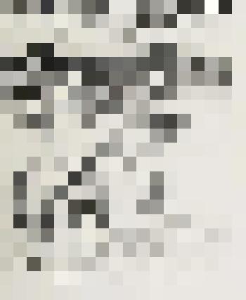 Верблюды. Из альбома "Туркестан" (2-я серия рисунков)