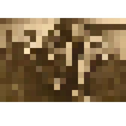 Фотография. Б. Старчиков в редакции журнала "Крокодил"