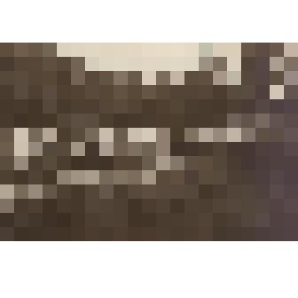 Фотография ч/б. Сепия ? Связисты идут на сплавку леса