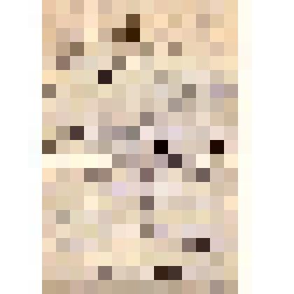 Характеристика Энгельсского краеведческого музея. Черновик