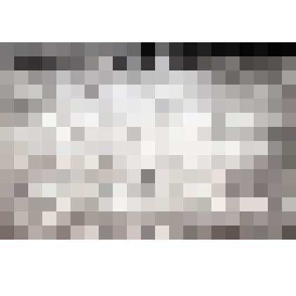 Негатив "Вид заснеженного поля в п. мясное Рязанской области"