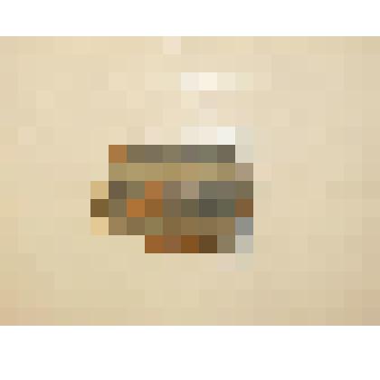 Изразец. Фрагмент