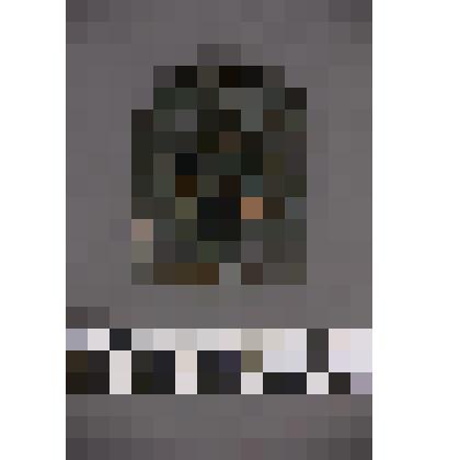 коллекция В.Ф. Лагодича. Талисман на металлической пластине, по мотивам изваяний окуневской культуры. Подпрямоугольная пластина с изображением 3-хглазой личины, прорезанными глазами, ртом, носом и «короной». Разделена на 2 части двумя волнистыми линиями п