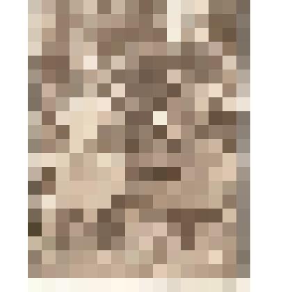 Ф/чб. Офицеры 148-й стрелковой дивизии: начальник полит.отдела, замком по полит части полковник Гаранин Федор Иванович и нач-к штаба полковник Васин Никон Григорьевич. 24.9.1942