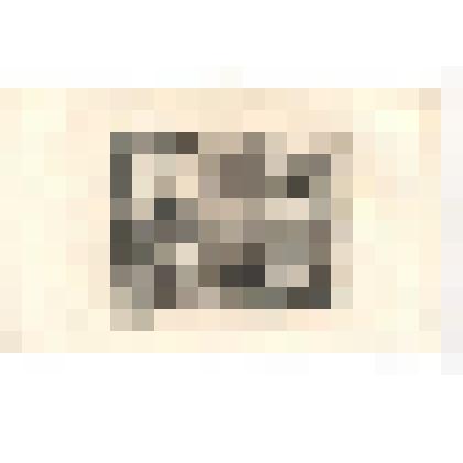 Гравюра. С работы Доменикино