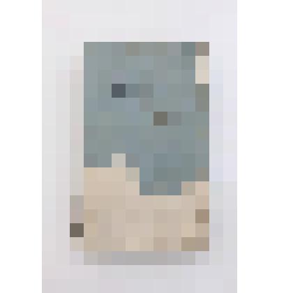 Manuel de santé ou nouveaux élémens de médecine pratique, d'après l'état actuel de la science et la méthode analytique de Pinel et de Bichat; A l'usage des médecins, chirurgiens, Curés et autres Habitans de la campagne. Par L.J.M. Robert, docteur en médec