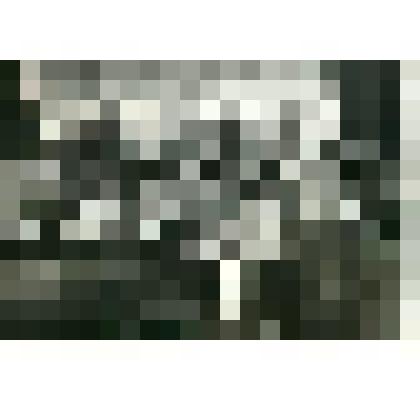 Фотография. Отделы военной химии и ПВО