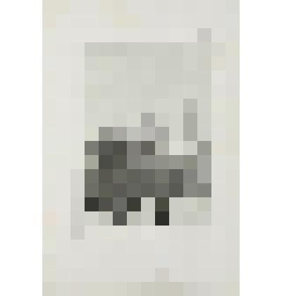 Литография. "Москва. Воскресенские ворота. Здание суда (яма)."