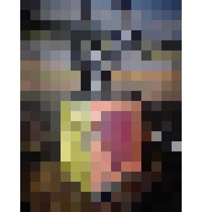 Ручной сигнальный фонарь