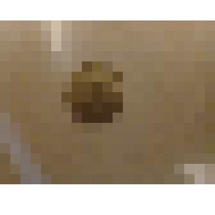 Монета 20 копеек 1990 г