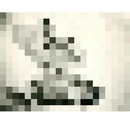 Фотография. Тунгусские зыбки