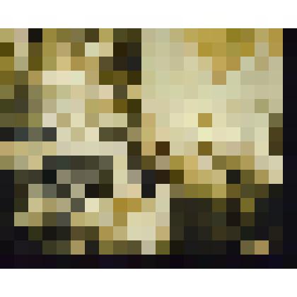 Выставка в ДК на Невском проспекте, 13. Фотография