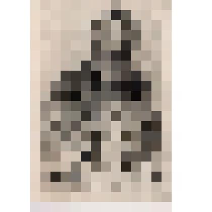 Портрет И.И.Шишкина. 1898. По живописному оригиналу И.Н.Крамского (1880)